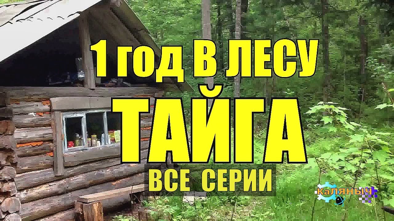 ГОД В ГЛУХОЙ ТАЙГЕ СЕРИАЛ КРУШЕНИЕ САМОЛЕТА ЛЕТЧИК ИСПЫТАТЕЛЬ СССР ...