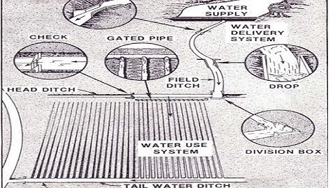 ID 304,Lecture about Surface Irrigation for Agri Sciences 15 4 2020