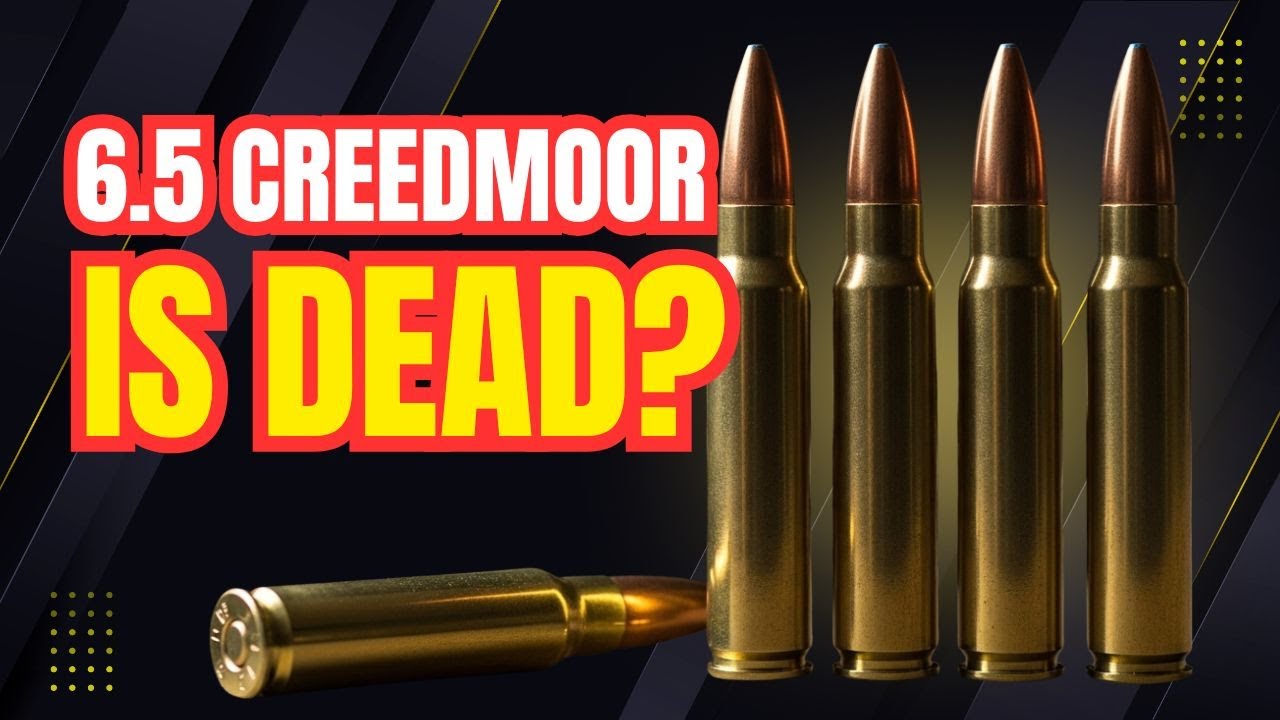 Top 7 Cartridges That Shoot Flatter & Harder Than 6.5 Creedmoor