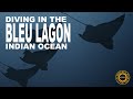 Plonge ailleurs  bleu lagon ocan indien mars 2024  diveexplo360