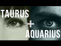 Taurus & Aquarius: Love Compatibility