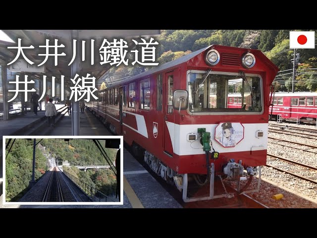 鉄道古物　大井川鐵道　スタフ 4K 60fps】【#のんてつ】大井川鐵道 SL急行 かわね路号