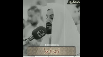 من أروع تلاوت القارئ |رعد الكردى|💙🎙️من سورة التوبة- سُبْحَـٰنَهُۥ عَمَّا يُشْرِكُونَ-🎧