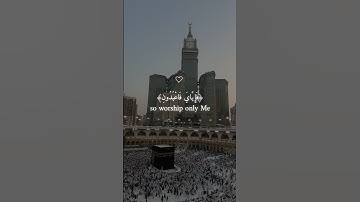 عبد الرحمن مسعد (كل نفس ذآئقة الموت)سورة العنكبوت راحة نفسية والطمأنينة #المصحف #راحة_نفسية #لايك