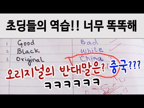 전세계 초등학생들의 기상천외한 웃긴 <strong>답안지</strong> TOP 15