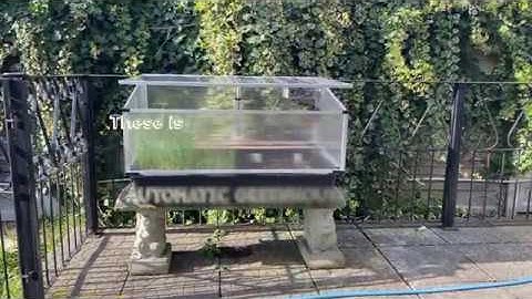 Automatic GreenHouse on Raspberry Pi