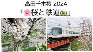 高田千本桜2024「桜と鉄道」 by さかい鍼灸院 130 views 1 month ago 5 minutes, 21 seconds