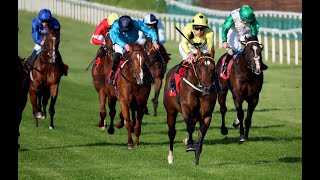 WOW! Elite Status FLOORS his rivals with impressive National Stakes win 🚀 screenshot 2