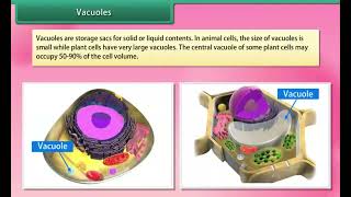 Cell - Structure and Function quick revision