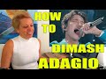 How to / Dimash / Adagio / Phoenix Vocal Studio #vocalcoach #Dimash #adagio #howto #analysis