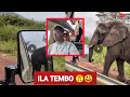 Tazama Tembo Akitaka Kuvamia Gari ЁЯШе La Watalii Watulia Kimyaa Tembo Ajasanuka Tazama Tembo Akitaka Kuvamia Gari ЁЯШе La Watalii Watulia Kimyaa Tembo Ajasanuka