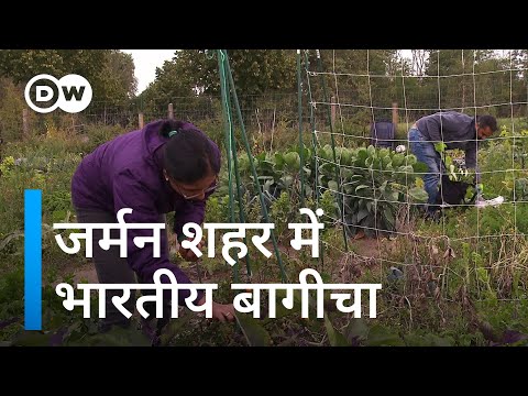 वीडियो: बर्लिन में खाने की कोशिश