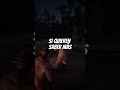 RESUELVO UN MISTERIO DE RDR2 #shorts