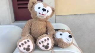 園内に入れないかわいそうなダッフィー Youtube 園内に入れないかわいそうなダッフィー Youtube