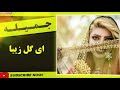 Jamileh جمیله ای گل زیبا بندری Jamileh جمیله ای گل زیبا بندری