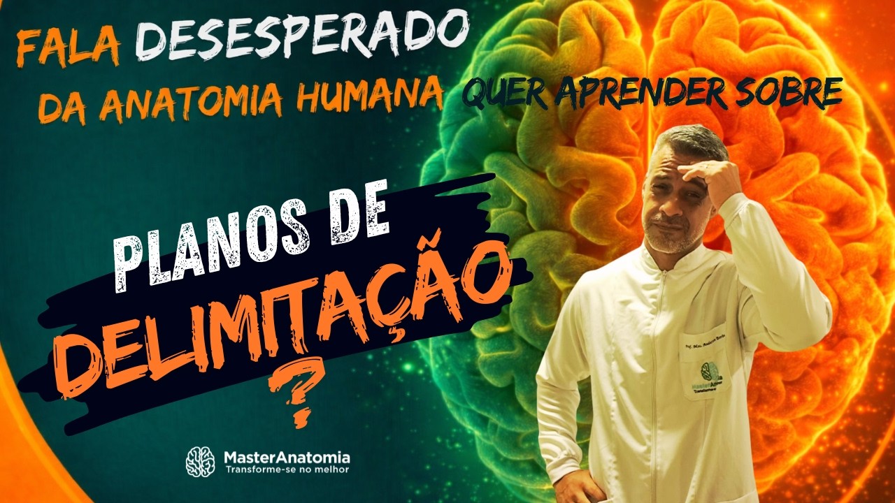 Aula 6   Planos de delimitação