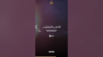 Surah Hud Verse 36 | سورة هود الآية 36 | Abdun Nasir Khan