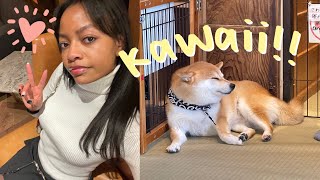 Tokyo vlog. pt 3: I went on a date in Japan, cute shopping &amp; a Shiba Inu café