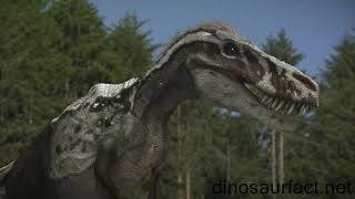 Nanotyrannus Tribute.