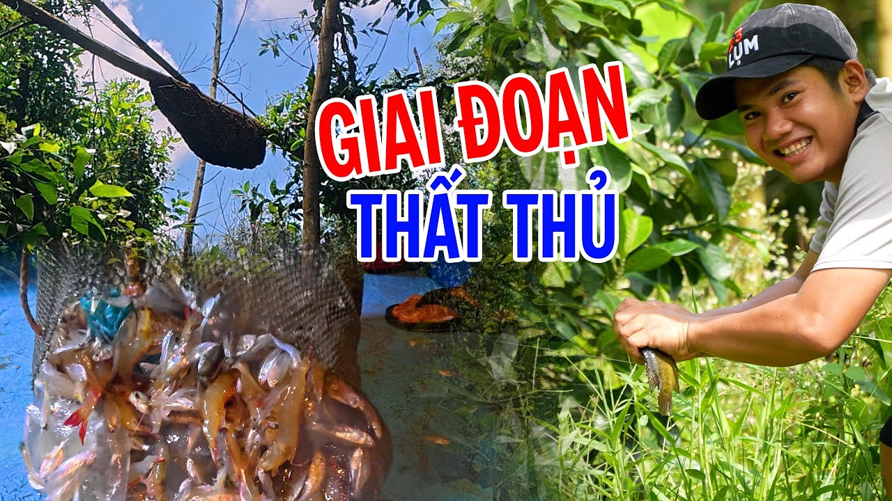 Cách Trãi Qua Những Ngày Khó Khăn Của Team Săn Bắt