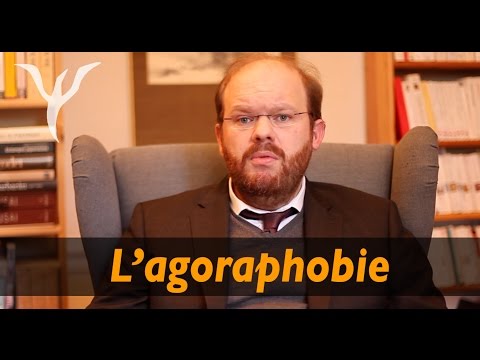 Vidéo: Agoraphobie - Causes, Symptômes, Traitement