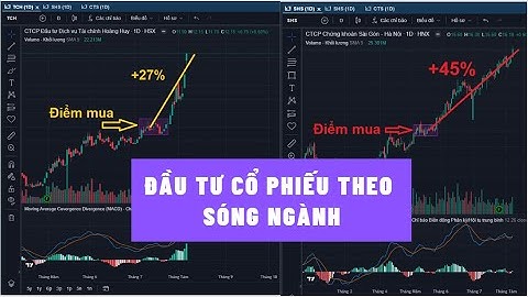 Đầu tư Chứng khoán theo Sóng Ngành - Phương pháp Sóng ngành Hiệu quả nhất (đã kiểm nghiệm 6 năm)