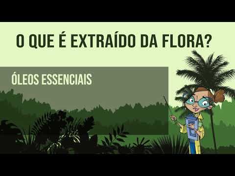 BIODIVERSIDADE AMEAÇADA -