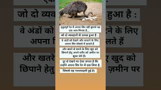 क्या #शुतुरमुर्ग रेत में अपनी गर्दन छुपाता है |  #rajasthan #history #gk #shorts #viral #video