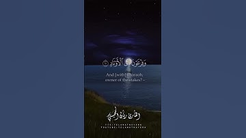 القارئ #ريان_المحيسني #الرحمن #اكسبلور #تلاوة_خاشعة #القرآن_الكريم #راحة_نفسية #shortvideo #share