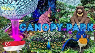 What's inside the CANOPY PARK | THE JEWEL SINGAPORE