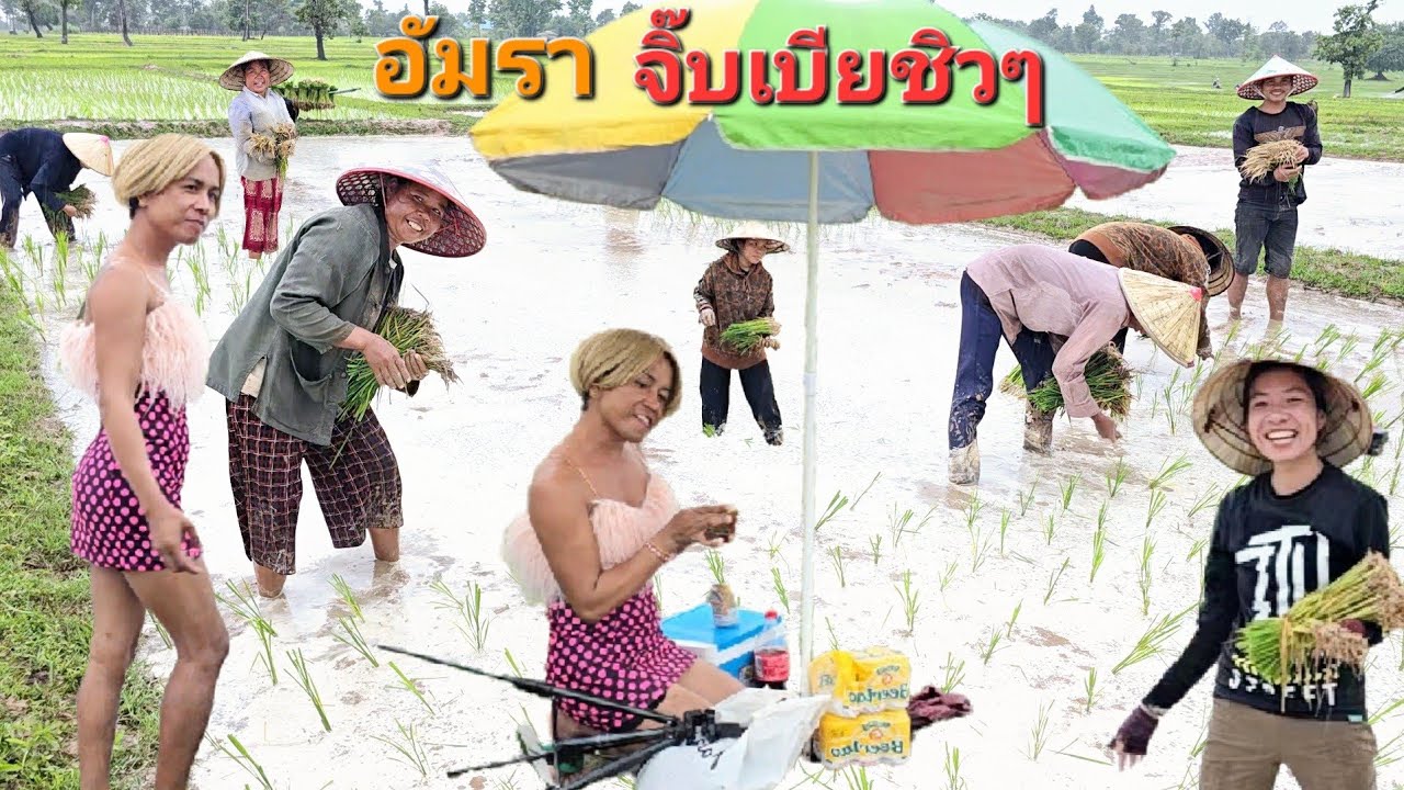 พายุเข้า ฝนตกรินทังวัน.