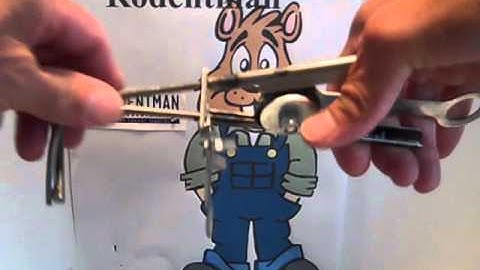 Setting the Quick-Set Gopher Trap 001.MP4