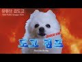 [김도고] 강쥐점프 MOMMY SON (마미손) - 소년점프 패러디 강아지 리믹스 / 도고점프 / gabe the dog remix / doggo jump