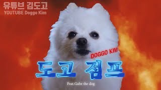 [김도고] 강쥐점프 MOMMY SON (마미손)  소년점프 패러디 강아지 리믹스 / 도고점프 / gabe the dog remix / doggo jump