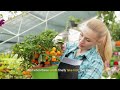 Understanding Plant Reproduction: Flowers, Fruits, and Seeds Explained
