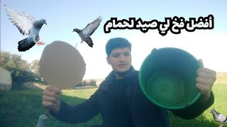 طريقة صنع افضل مصيدة لي صيد الحمام🕊️البري ب0درهم