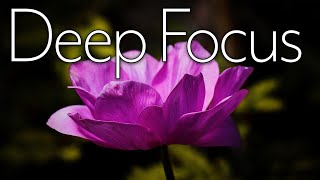 Spring Study Music, Deep Concentration, Focus, Soft Meditation Sounds for Relaxation and Learning screenshot 2