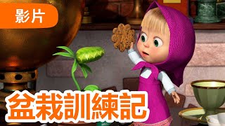 瑪莎與熊 - 🤩 NEW 2024 🤩 🪴 盆栽訓練記 🍫 🍬 (第99集) | Masha and The Bear CH