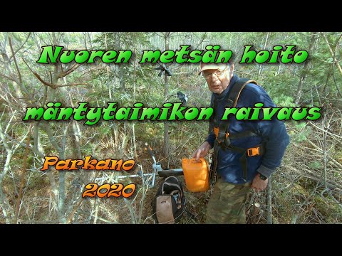 Video: Outo Aurinkoinen Raivaus Metsässä - Vaihtoehtoinen Näkymä