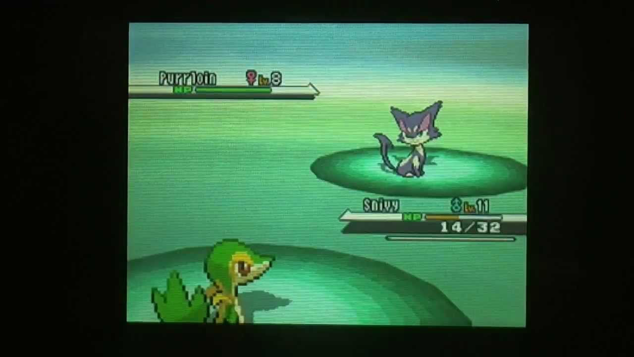 Pokemon Black Live Walkthrough 5 - Striaton City, Rival battle with Cheren and the Dreamyard!