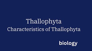 Thallophytes || characteristics of Thallophyta || class 9 biology || Diversity in living organisms||