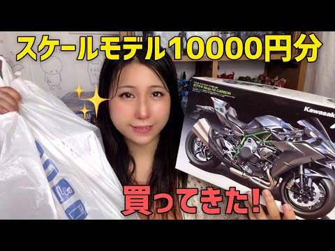 スケールモデル】大雨の中[大阪・日本橋]で1万円分お買い物の旅