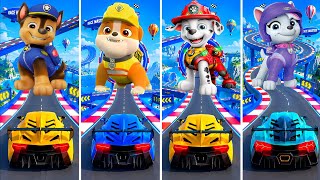 Chase vs Rubble vs Marshall vs Everest | Paw Patrol Race Master 3D Car Racing screenshot 4