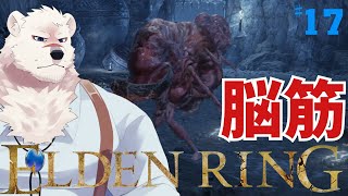 【ELDEN RING】フロムゲー初心熊とエルデンリングしようぜっ！#17【獣Vtuber】