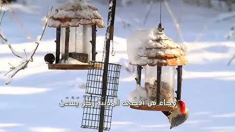 وَجَاءَ مِنْ أَقْصَى الْمَدِينَةِ رَجُلٌ يَسْعَىٰ/ما تيسر من سورة يسٓ للقارئ إسلام صبحي 🎧 إسمع