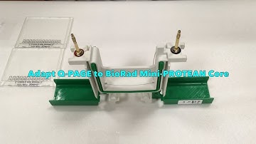 Setting Up and Running Q-PAGE™ Mini Precast Gel