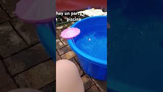 Party En La Piscina