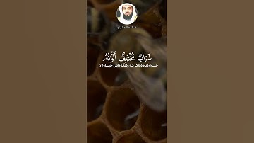 خالد الجليل - سورة النحل - تلاوة خاشعة - واوحى ربك الى النحل