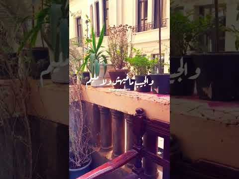 صباح الصباح فتاح يا عليم صباح الخير مع فيروز