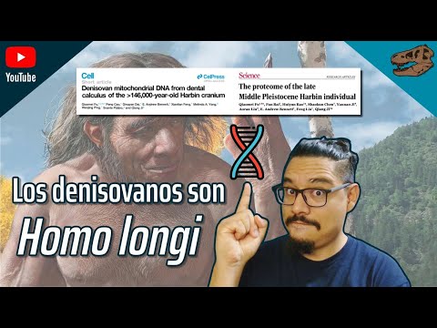 Los denisovanos son Homo longi (demostrado con ADN y proteínas)